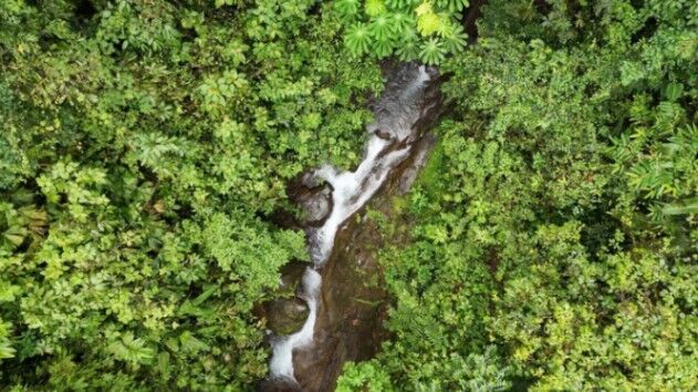 BEAUTIFUL LAND FOR SALE: 30 HECTARES IN BARÚ, PÉREZ ZELEDÓN WITH WATERFALL en Barú, Pérez Zeledón, San José — $250,000