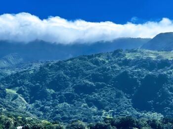 Oferta/ Hermosa propiedad  en La Unión, Montes De Oro, Puntarenas — 32 000 000 ₡ - Foto 4 de 16
