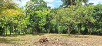 Se vende lindo lote en Villa ligia de Pérez Zeledón  en Daniel Flores, Pérez Zeledón, San José — 41 500 000 ₡ - Foto 5 de 6