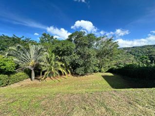 Oportunidad en Senderos del Río, Grecia | Lote de 1.449 m² a precio especial en San Roque, Grecia, Alajuela — $118,900 - Foto 4 de 9