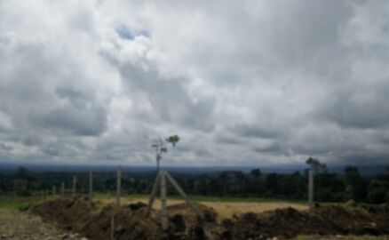 Venta 1 Hectárea in Las Horquetas, Sarapiquí, Heredia — ₡ 45 000 000