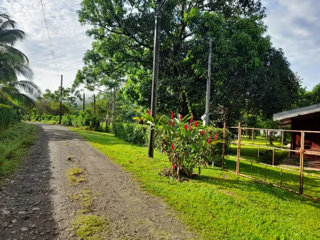 SE VENDEN 2 BELLÍSIMAS PROPIEDADES CON 2 CASAS EN SAN CARLOS, ALAJUELA. en Florencia, San Carlos, Alajuela — ₡ 42 000 000 - Foto 3 de 17