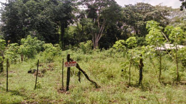 Lote barato in La Ceiba, Orotina, Alajuela — ₡ 18 000 000