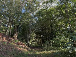Ocean View at Mountain St. Quebrada Seca, Jaco. en Jacó, Garabito, Puntarenas — $120,000 - Foto 3 de 40