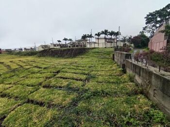 Venta de Lote en San Pablo, Heredia. RAH 25-868 en San Pablo, Heredia — 79 500 000 ₡ - Foto 4 de 8