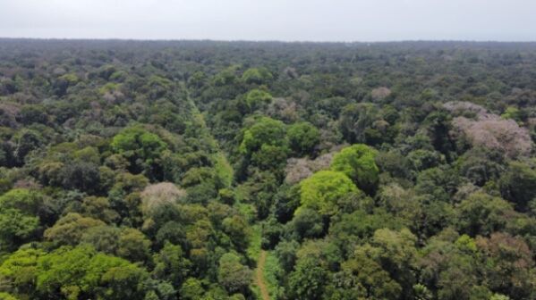 Finca en Tortuguero en Colorado, Pococí, Limón — $315,000