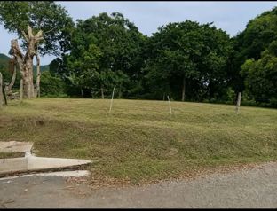 Venta de terreno ideal para construir in San Pablo, Nandayure, Guanacaste — ₡ 29 000 000 - Photo 5 of 6