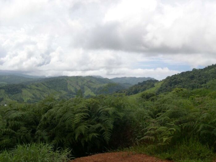 FINCA DE 25 ACRES EN 3 PIEDRAS, QUEPOS VISTAS 360° en Quepos, Puntarenas — $149,000