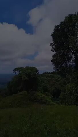 PARA INVERSIONISTAS, FINCA EN QUEPOS, COSTA RICA.  en Quepos, Puntarenas — $2,000,000