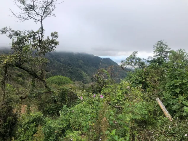 Se vende lote Tarbaca, San Jose, Costa Rica en Tarbaca, Aserrí, San José — $262,150 - Foto 2 de 6