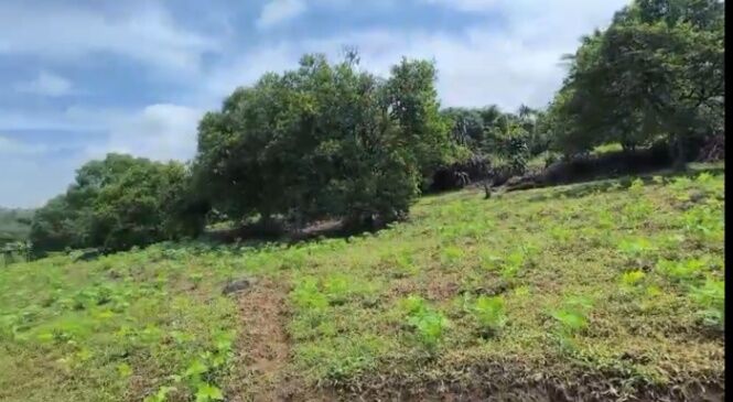 SE VENDE BELLA PROPIEDAD EN MORAZÁN DE ATENAS.  en Atenas, Alajuela — ₡ 130 000 000