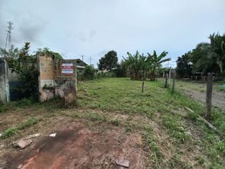 Venta de terreno en el Centro de Pital a un costado de la Iglesia en Aguas Zarcas, San Carlos, Alajuela — 50 000 000 ₡ - Foto 5 de 9