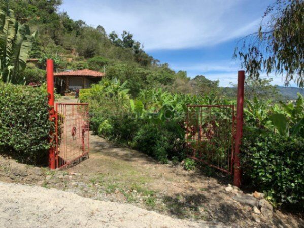 Venta terreno con contenedor habitable y árboles frutales #26-2238 GS en Aguacaliente, Cartago — $136,000