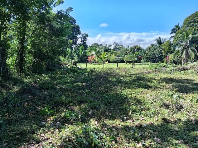 Lote En Venta En Guácimo, Limón in Guácimo, Limón — ₡ 9 328 975 - Photo 2 of 10