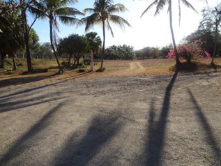 Finca 20 Ha 1 Km oeste de Aeropuerto Daniel Oduber en Liberia, Guanacaste — $5,000,000 - Foto 4 de 7