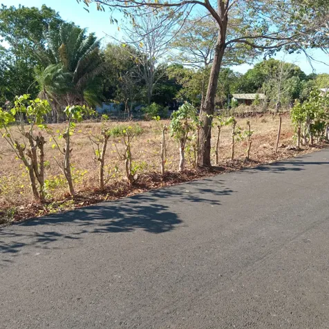 Investment Opportunity in Labrador de San Mateo in San Mateo, Alajuela — $450,000 - Photo 3 of 3