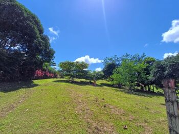 Venta ! Linto terreno cerca de Fortuna de San Carlos en Santa Isabel, Río Cuarto, Alajuela — 2 500 000 ₡ - Foto 4 de 12