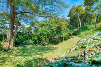 Venta de Lote de Desarrollo en Bosques de Mora
