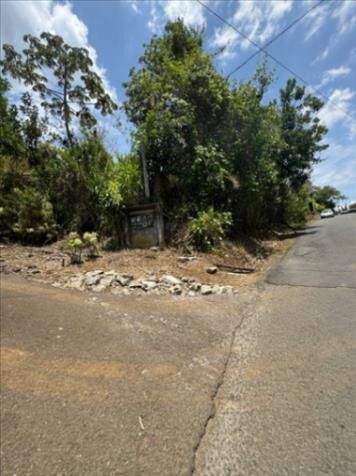 Venta de lotes! oportunidad! en Alajuela — ₡ 15 000 000