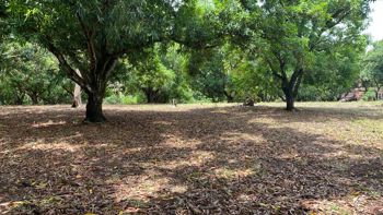 VENTA DE AMPLIA PROPIEDAD EN COYOLAR DE OROTINA in Coyolar, Orotina, Alajuela — $622,725 - Photo 4 of 15