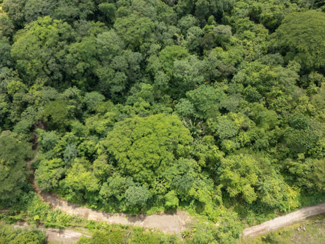 Lote Comercial Premium sobre Carretera Principal Cabuya in Cóbano, Puntarenas — $87,500