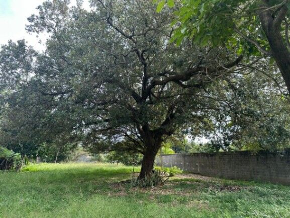 Venta de Lote en Liberia de Guanacaste. RAH 26-1013 en Curubandé, Liberia, Guanacaste — $505,208