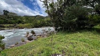VENTA DE FINCA DE 10.9 HA FRENTE AL RIO EN VALLE DEL CHIRRIPO, SAN FRANCISCO DE RIVAS in Rivas, Pérez Zeledón, San José — $1,450,000 - Photo 4 of 7