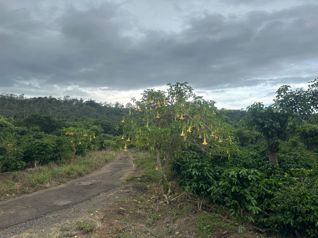 Venta - Finca la Cancha (70,000 m2) - San Luis, Santo Domingo in Santo Domingo, Heredia — $5,100,000 - Photo 4 of 23