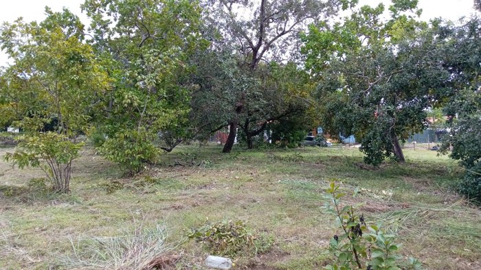 Venta Terreno Comercial Cañas Dulces Liberia Guanacaste en Cañas Dulces, Liberia, Guanacaste — $215,000 - Foto 2 de 14