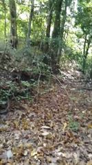 De Oportunidad Bella y Útil Finca en Cañas, Guanacaste.