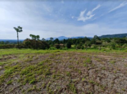 Venta 1 Hectárea in Las Horquetas, Sarapiquí, Heredia — ₡ 45 000 000
