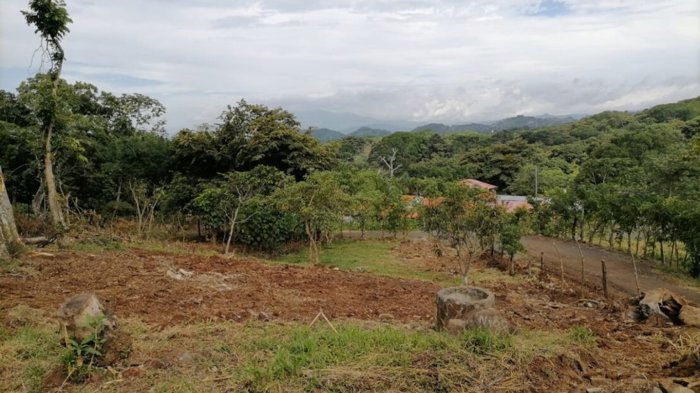Entorno rural con vistas en Atenas in Atenas, Alajuela — $117,000 - Photo 3 of 6