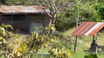 SE VENDE BELLA PROPIEDAD CON CAMARONERA INCLUIDA.  en Colorado, Abangares, Guanacaste — 70 000 000 ₡ - Foto 5 de 10
