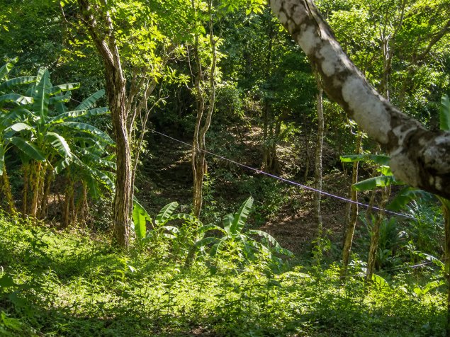 Finca Productiva de 38.5 Hectáreas en Venta en Vainilla de Tambor in Cóbano, Puntarenas — $650,000 - Photo 3 of 6