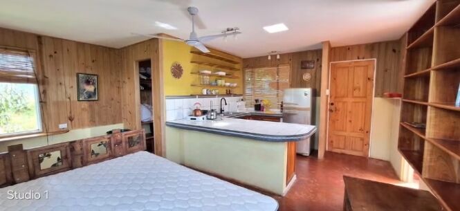 Se vende potencial propiedad en San Rafael Norte de Pérez Zeledón  en Páramo, Pérez Zeledón, San José — $120,000