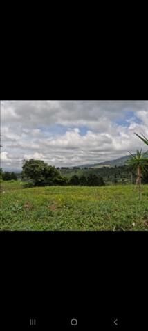 Lote en San Luis de Grecia  en Bolívar, Grecia, Alajuela — ₡ 30 000 000