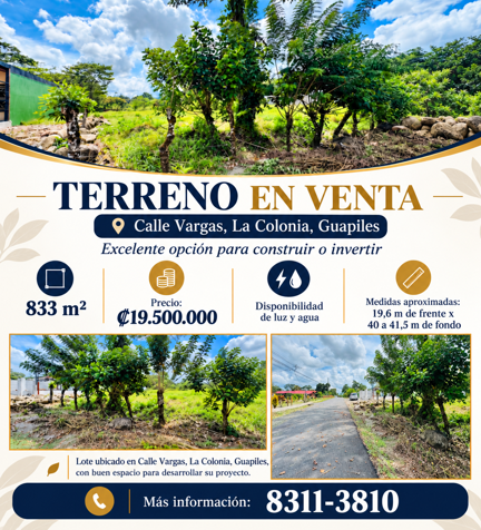🌿 TERRENO EN VENTA EN LA COLONIA, GUAPILES en La Colonia, Pococí, Limón — ₡ 19 500 000