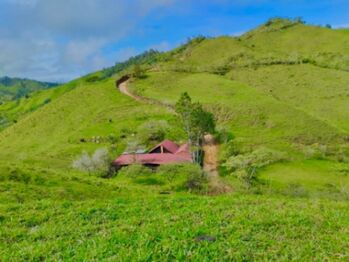 Se vende propiedad, gran oportunidad  en San Vito, Coto Brus, Puntarenas — 382 500 ₡ - Foto 5 de 11