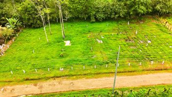 Lotes en 30 millones de Colones con Vista al Volcán in La Fortuna, San Carlos, Alajuela — 30 000 000 ₡ - Photo 4 of 7