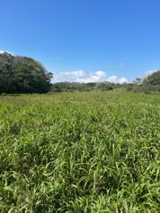 TOURIST GUANACASTE FARM FOR SALE   BAGACES COSTA RICA en Mogote, Bagaces, Guanacaste — $1,000,000 - Foto 5 de 22