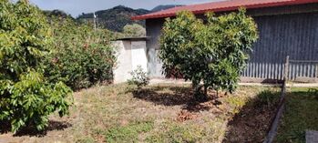 Venta propiedad en Santa María de Dota en Santa María, Dota, San José — 90 000 000 ₡ - Foto 4 de 12