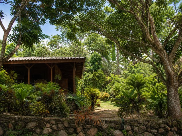 Finca Productiva de 38.5 Hectáreas en Venta en Vainilla de Tambor in Cóbano, Puntarenas — $650,000
