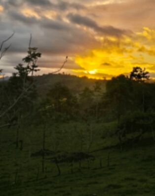 Lote de 600m2 con Vista al Volcán Arenal a 25min de Fortuna, zona encantadora! en La Fortuna, San Carlos, Alajuela — ₡ 38 000 000
