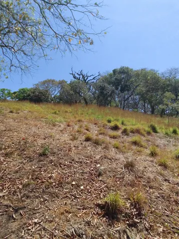 Venta, Lote, GAM, Santa Ana en Salitral, Santa Ana, San José — $822,000 - Foto 2 de 6