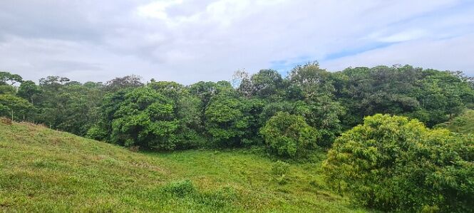VENTA DE FINCA l SARAPIQUÍ, HEREDIA l PRECIO NEGOCIABLE. en La Virgen, Sarapiquí, Heredia — ₡ 197 500 000
