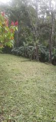Venta de terreno en Guayabo de Mora. Viva en armonía con la naturaleza in Guayabo, Mora, San José — 85 000 000 ₡ - Photo 4 of 12