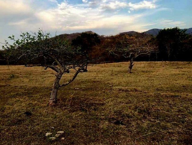 VENTA DE LOTE, GUANACASTE, SANTA CRUZ en Santa Cruz, Guanacaste — $50,000