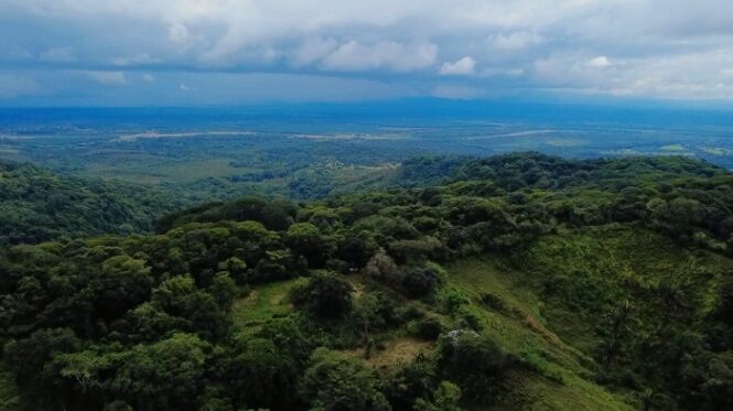 TERRENO DE 7.5 HECTÁREAS CON VISTA AL MAR Y AL RÍO EN BALSAR DE OSA en Sierpe, Osa, Puntarenas — $650,000