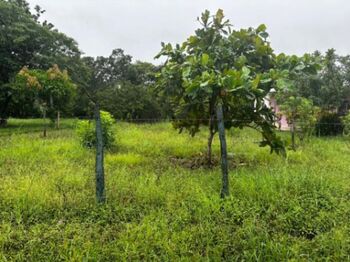 Lote en Venta Liberia, Liberia, Guanacaste