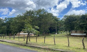 Vendo hermoso lote in Tempate, Santa Cruz, Guanacaste — 70 ₡ - Photo 5 of 6